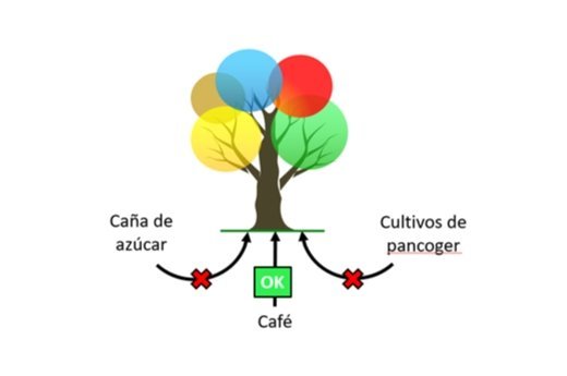 Alternativas de negocio para la finca Buenos Aires.